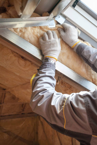 Best Insulation Installation Services in Beach City, TX